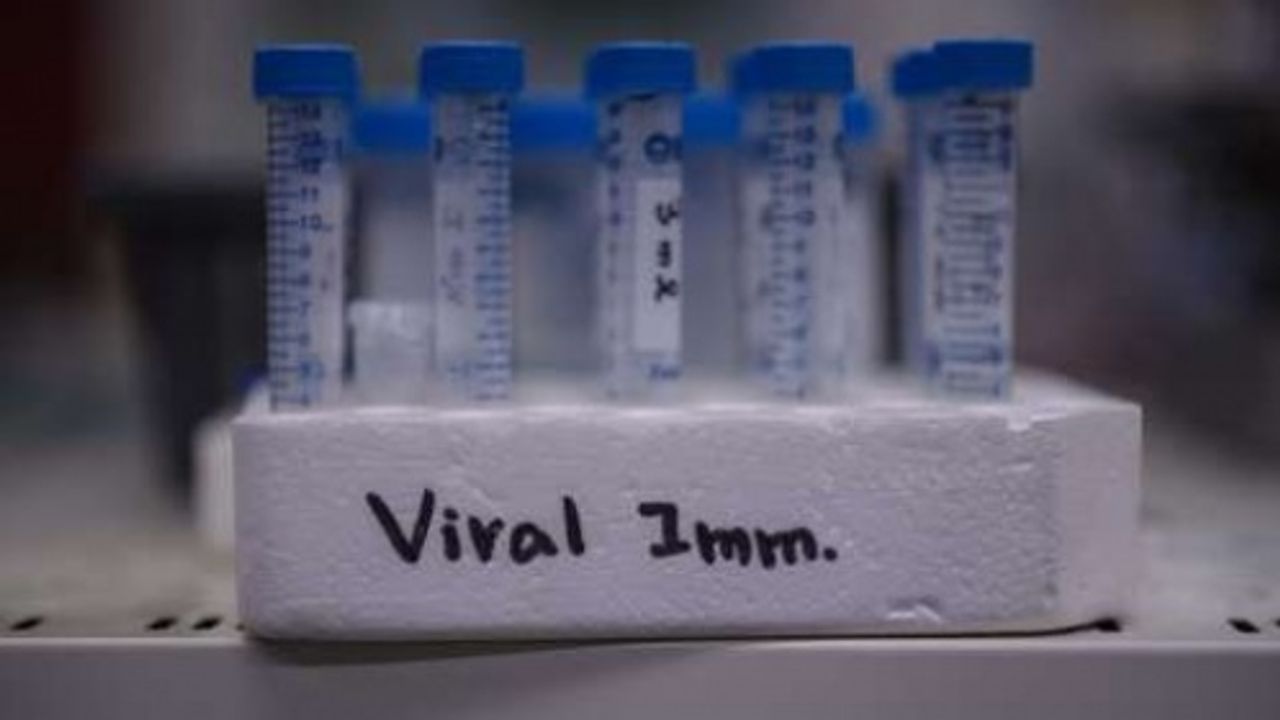 İngiltere, antikor testi yerine burun ve boğazdan alınan örnekle yapılan PCR testlerine öncelik verecek