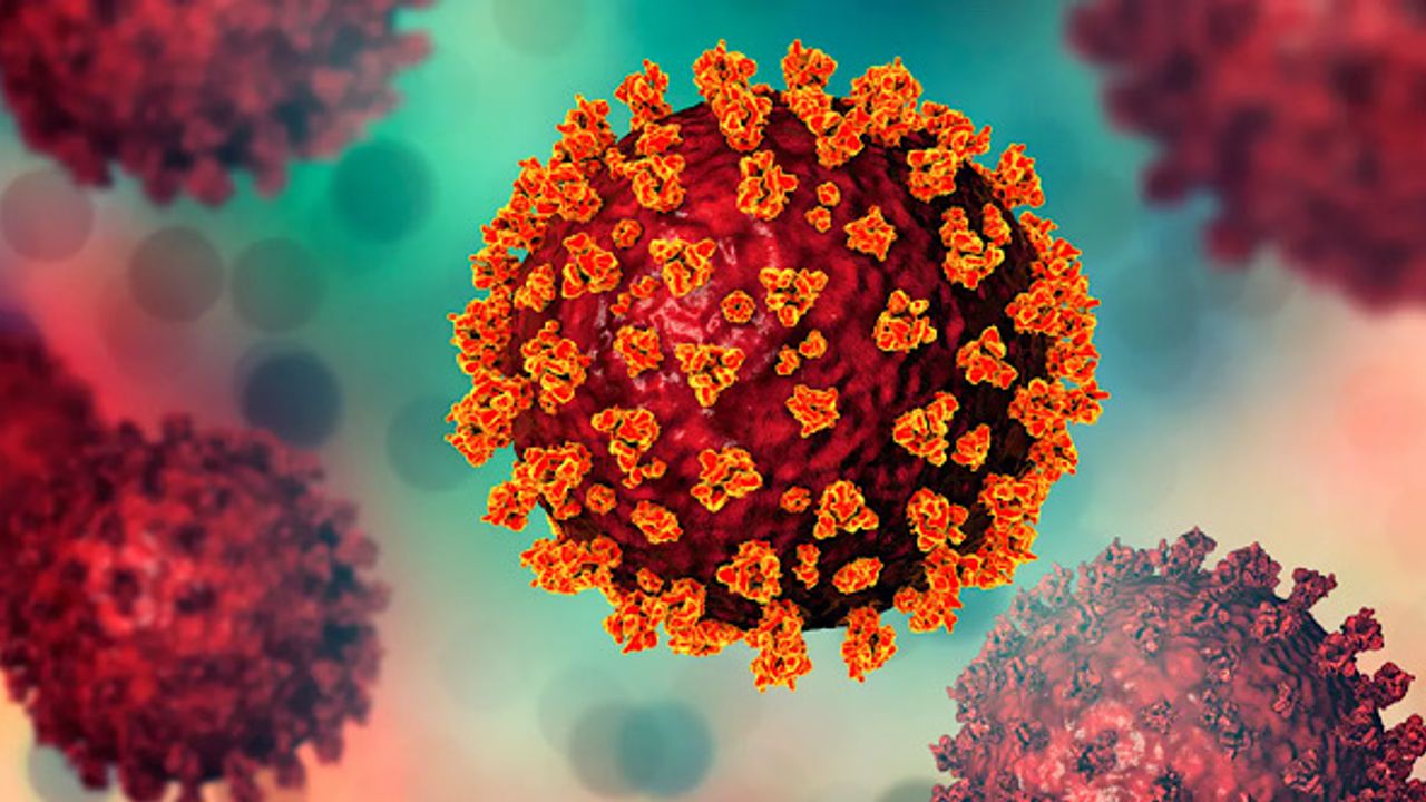 Belçika'da koronavirüsün iki ayrı varyantına aynı anda yakalanan hasta öldü