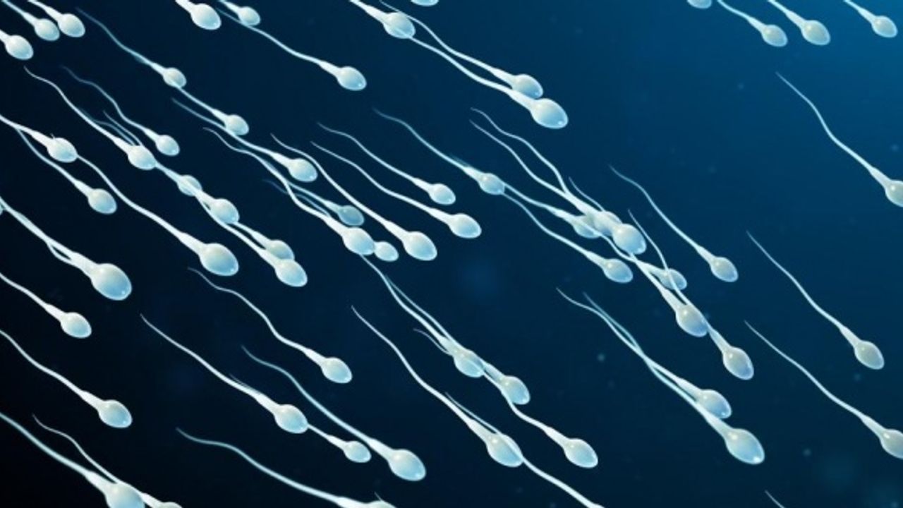 İngiltere sperm ithal etmeye başladı
