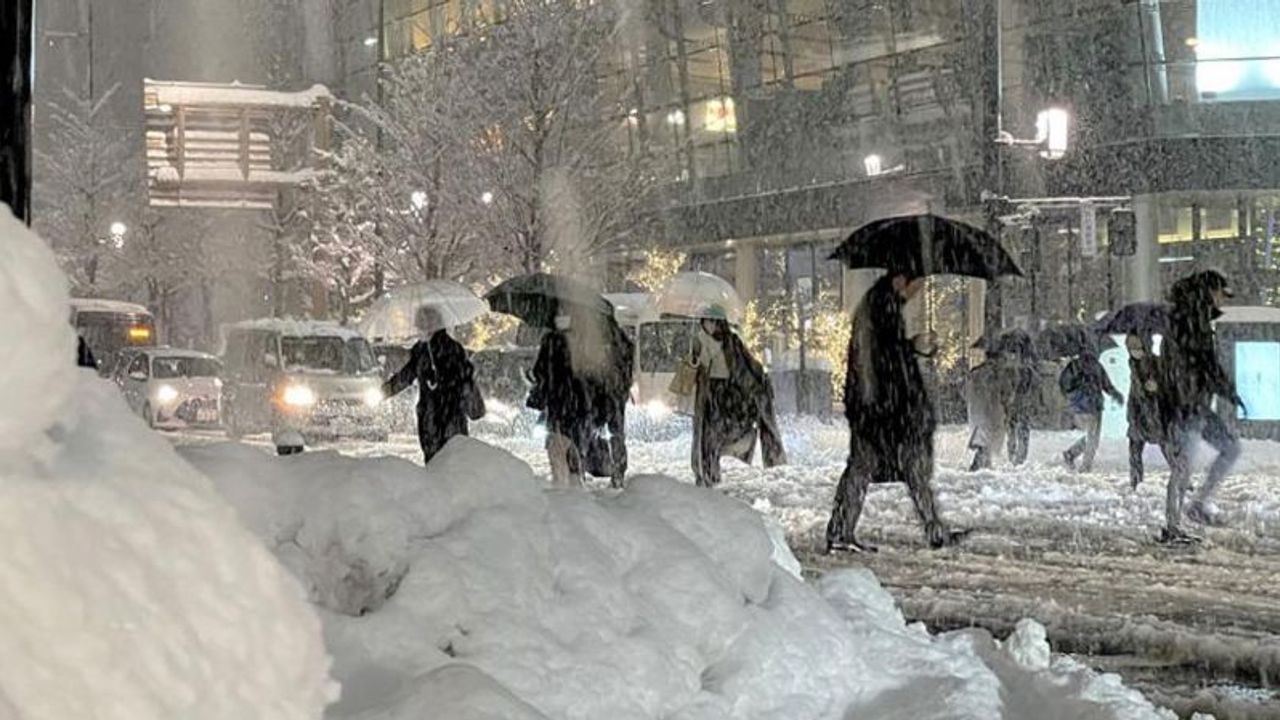 Japonya'da kar felaketi: 17 ölü