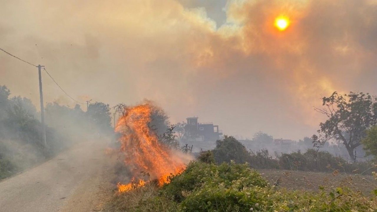 Çanakkale'de büyük orman yangını: Kara ve deniz ulaşımı kapatıldı