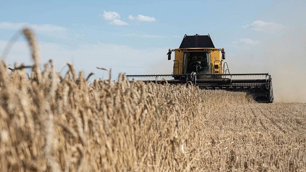 Polonya-Ukrayna tahıl krizi dünyayı nasıl etkileyecek?