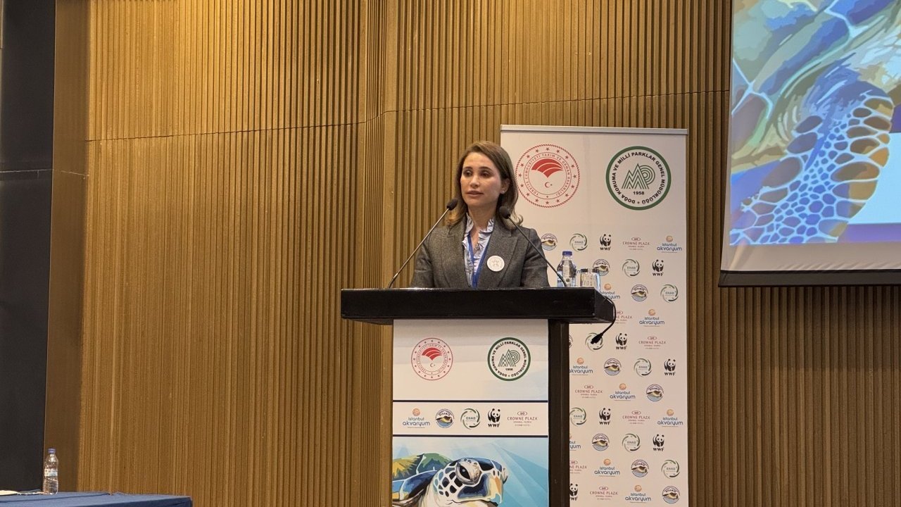 "Deniz Kaplumbağaları Çalıştayı ve Bilim Komisyonu Toplantısı" İstanbul'da başladı