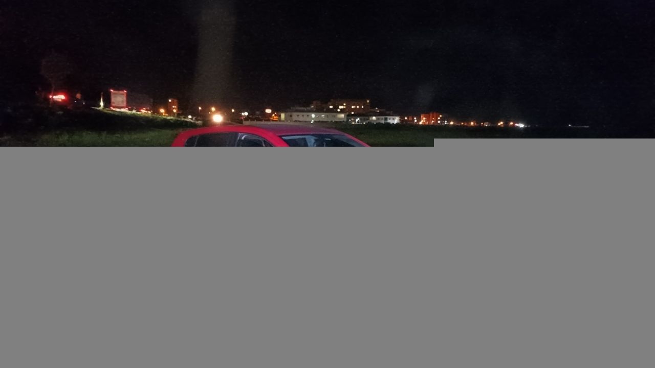 Bitlis'te otomobilin çarptığı sürüdeki 12 koyun telef oldu, sürücü yaralandı