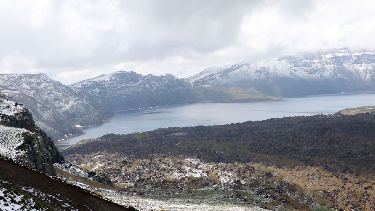 Bitlis'te sahipsiz hayvanları izleme ve denetim toplantısı yapıldı