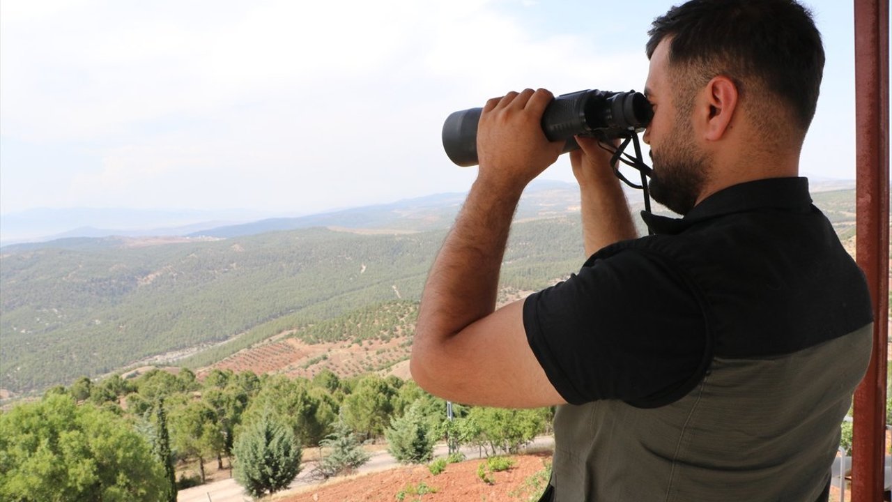 Kilis'te orman yangınlarına karşı karadan ve havadan denetim yapılıyor