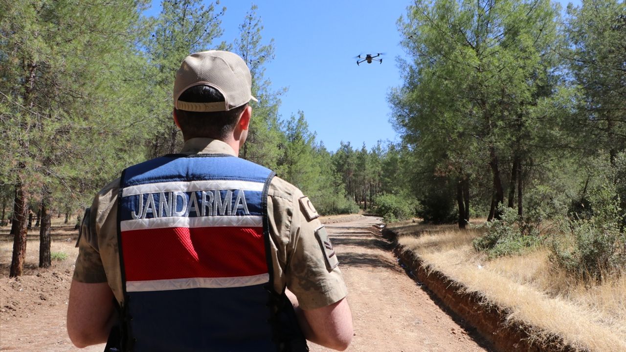 Kilis'te ormanlar yangınlara karşı jandarma tarafından denetleniyor