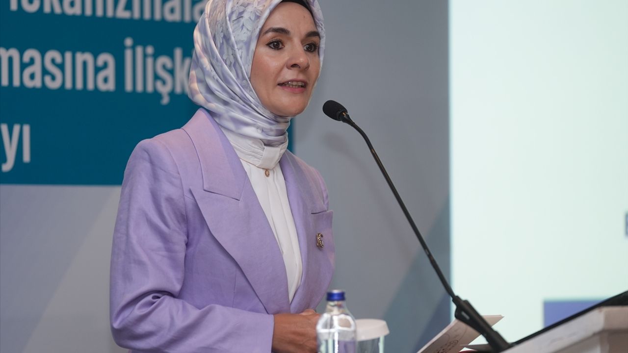 Bakan Göktaş, Roman vatandaşların hak arama farkındalığına yönelik çalıştayda konuştu: