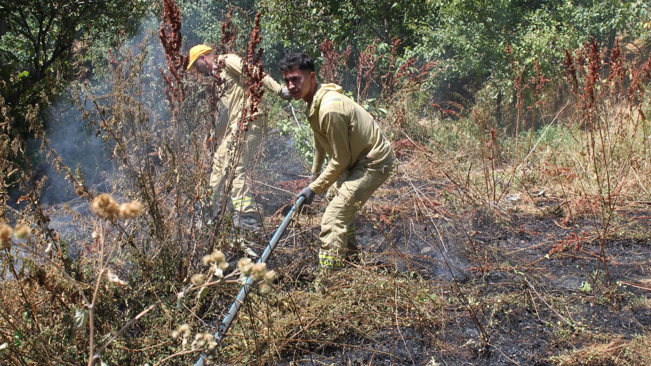 Bitlis'te ağaçlık alanda çıkan yangın söndürüldü