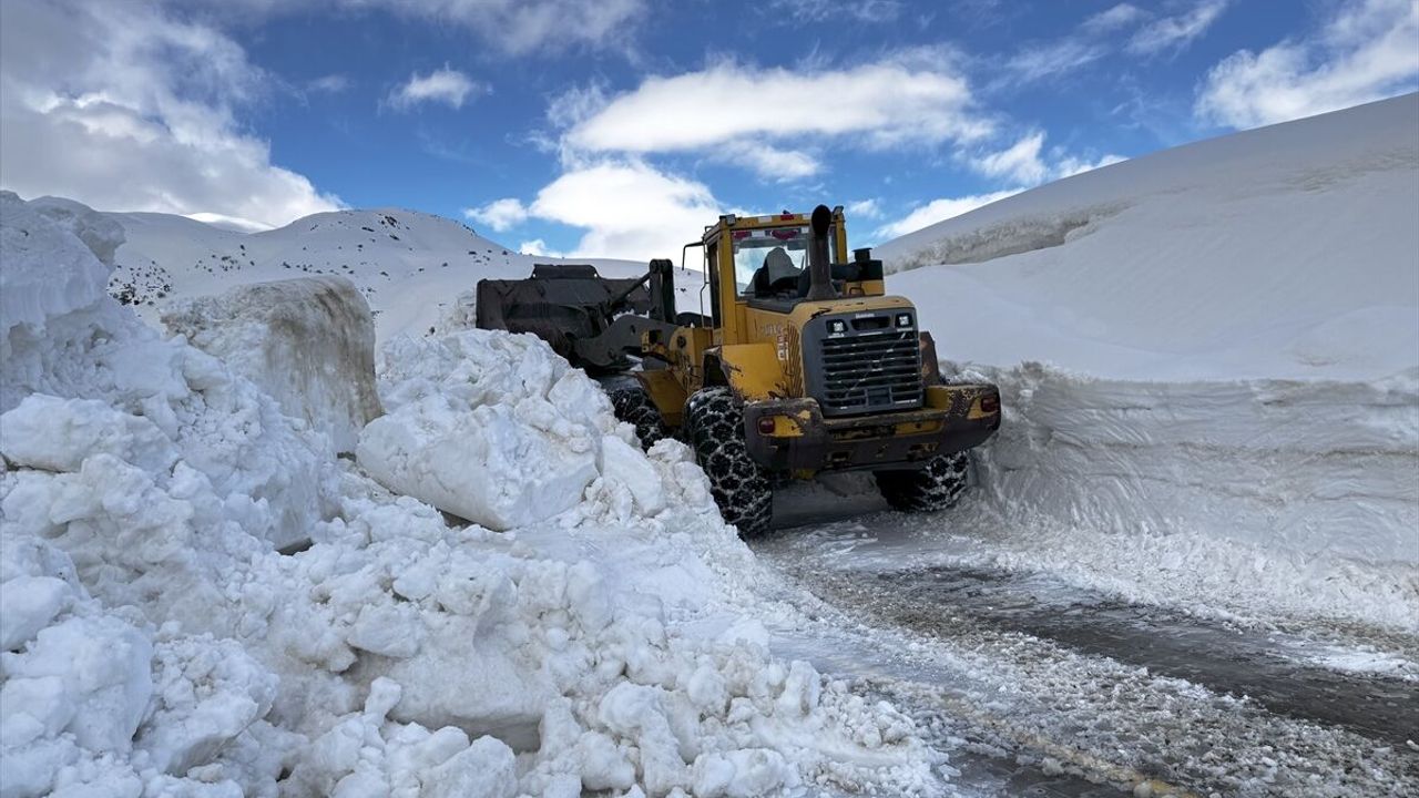Bitlis'te baharda da metrelerce karla mücadele sürüyor