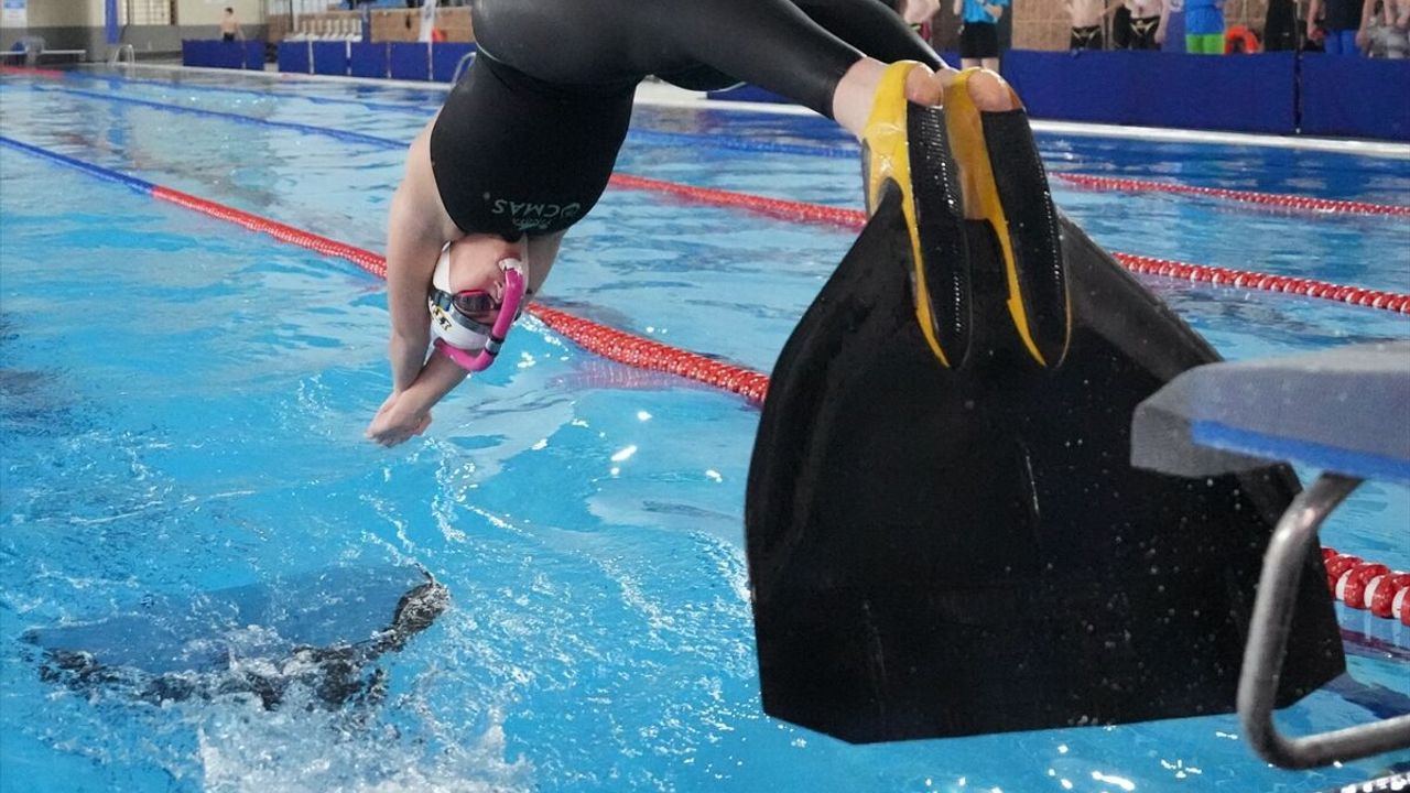 Cumhurbaşkanlığı Kupası Paletli Yüzme Kulüplerarası Büyükler Türkiye Şampiyonası'nda 5 kategoride Türkiye rekoru kırıldı