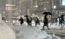 Japonya'da kar felaketi: 17 ölü