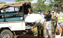 Kenya'da 'açlık tarikatı' soruşturması