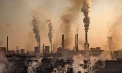 Hava kirliliği ömrü '2 yıldan fazla' kısaltabiliyor