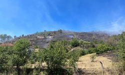 Kastamonu'da ormanlık alanda çıkan yangına müdahale ediliyor