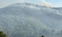Bodrum'da kontrol altına alınan orman yangınında soğutma çalışmaları havadan görüntülendi