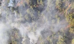 Denizli Çameli'deki orman yangınına müdahale sürüyor