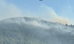 GÜNCELLEME - Bodrum'da orman yangını çıktı