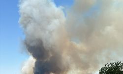 GÜNCELLEME - İzmir Gaziemir'de ormanlık alanda çıkan yangına müdahale ediliyor