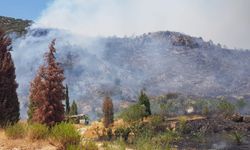 GÜNCELLEME - İzmir'de ormanlık alanda çıkan yangın kontrol altına alındı