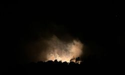 GÜNCELLEME - İzmir'in Urla ilçesindeki orman yangını kontrol altına alındı