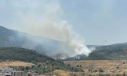 GÜNCELLEME - Manisa Soma'da çıkan orman yangını kontrol altına alındı