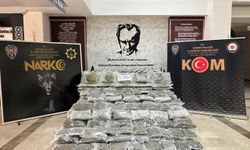 Hamzabeyli Sınır Kapısı'nda 266 kilo 489 gram skunk ele geçirildi