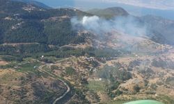 İzmir'de çıkan orman yangınına müdahale ediliyor