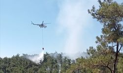 Muğla'da ormanlık alanda çıkan yangın söndürüldü