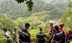 Rize'de yaş çay bahçesinde erkek cesedi bulundu