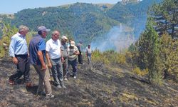 Samsun'da ormanlık alanda çıkan yangın kontrol altına alındı