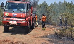 Uşak'ta ormanlık alanda çıkan yangın söndürüldü