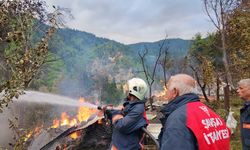 Artvin'in Şavşat ilçesindeki yangında 3 ev kullanılmaz hale geldi