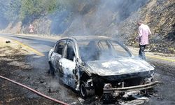 Aydın'da otomobilde başlayıp ormana sıçrayan yangın kontrol altına alındı