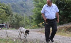 Belediye Başkanı ilçe halkına örnek olmak için hasta köpeği sahiplendi