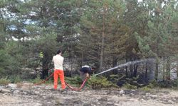 Bolu'da ormanlık alanda çıkan yangın söndürüldü