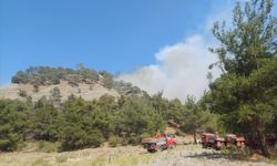 GÜNCELLEME - Manisa Salihli'de çıkan orman yangınına müdahale ediliyor