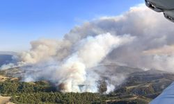 Manisa Gördes'te 2 ayrı noktadaki yangına müdahale ediliyor