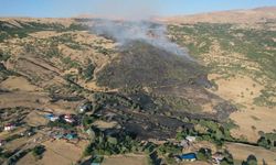 Elazığ'da ormanlık alanda çıkan yangın söndürüldü