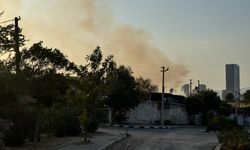 İzmir'de su depolama sahasındaki arazide çıkan yangın kontrol altına alındı