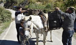 Asırlardır geleneksel yöntemlerle üzüm pekmezi yapıyorlar