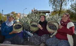 Manavgat Zeytin ve Zeytinyağı Festivali başladı