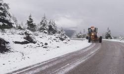 Muğla'da kar yağışı nedeniyle kapanan yollar ulaşıma açıldı