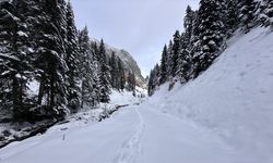 Anadolu'nun yüce dağı Ilgaz doğa tutkunlarını cezbediyor