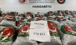 Hamzabeyli Sınır Kapısı'nda tırda 870 kilogram uyuşturucu ele geçirildi