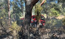 Muğla'da ormanlık alanda çıkan yangın söndürüldü