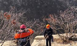 Siirt'te kayalıklarda mahsur kalan keçileri AFAD ekipleri kurtardı