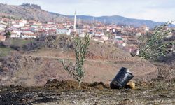 Yaylabaşı köyü doğan her bebek için dikilen fidanlarla güzelleşiyor