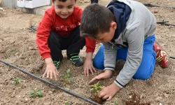 Konya Karatay’da doğayla buluşma zamanı