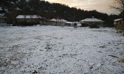 Edirne'nin yüksek kesimlerinde kar etkili oluyor